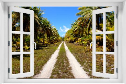 Fototapeta Naklejka Na Ścianę Okno 3D - Coconut palms and dirt road.