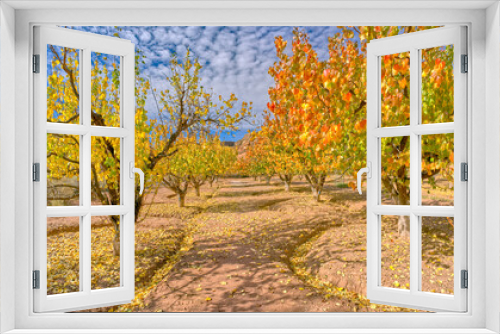 Fototapeta Naklejka Na Ścianę Okno 3D - Lonely Dell Ranch Orchards at Lee's Ferry AZ