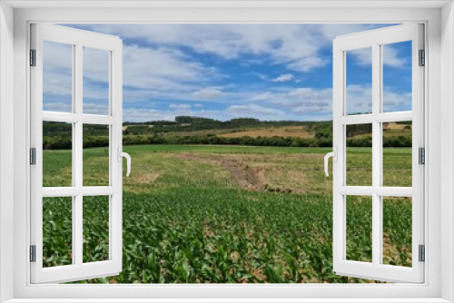Fototapeta Naklejka Na Ścianę Okno 3D - plantio milho, soja, agronegócio, vida, riqueza