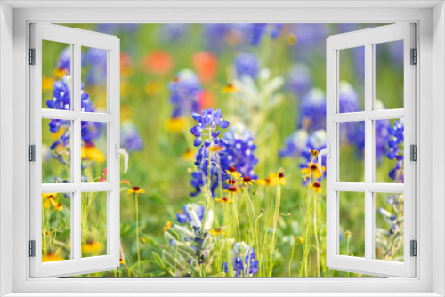Fototapeta Naklejka Na Ścianę Okno 3D - Llano, Texas, USA. Bluebonnet and other wildflowers in the Texas Hill Country.