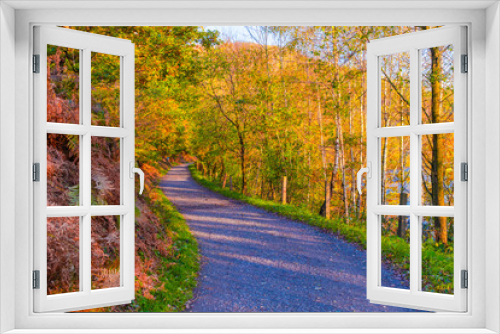 Fototapeta Naklejka Na Ścianę Okno 3D - road in autumn forest