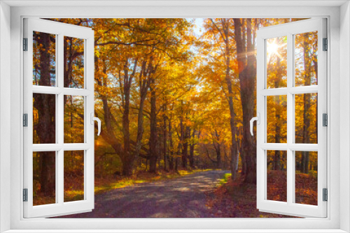 Fototapeta Naklejka Na Ścianę Okno 3D - USA, New England, Vermont sunlight coming through Sugar Maples lining gravel road Autumn colors