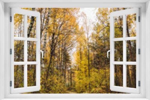 Fototapeta Naklejka Na Ścianę Okno 3D - beautiful landscape road in autumn yellow forest