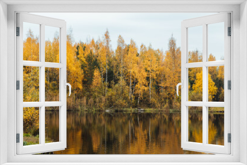 Fototapeta Naklejka Na Ścianę Okno 3D - beautiful landscape of the lake in the autumn yellow forest