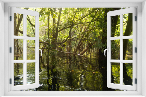 Fototapeta Naklejka Na Ścianę Okno 3D - Natural amazon river flood