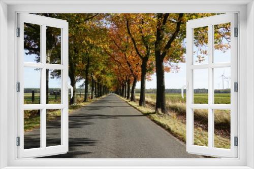 Fototapeta Naklejka Na Ścianę Okno 3D - Eine Allee im Herbst irgendwo in Brandenburg