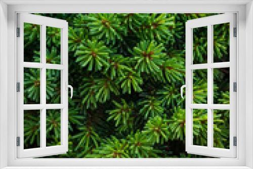Fototapeta Naklejka Na Ścianę Okno 3D - Christmas fir/pine tree branches