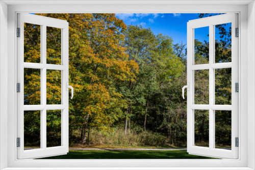 Fototapeta Naklejka Na Ścianę Okno 3D - Autumn in Parke County Indiana