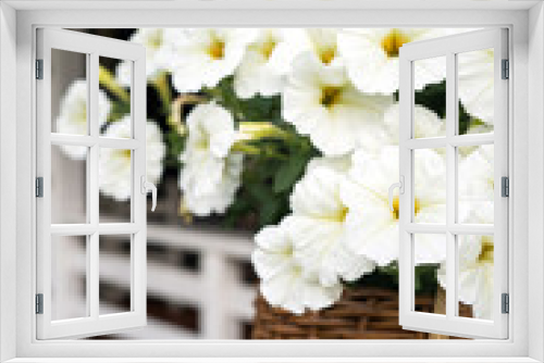 Fototapeta Naklejka Na Ścianę Okno 3D - White flowers in a basket