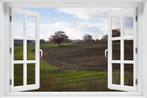 Fototapeta Naklejka Na Ścianę Okno 3D - Field at Grevena, Greece in Winter