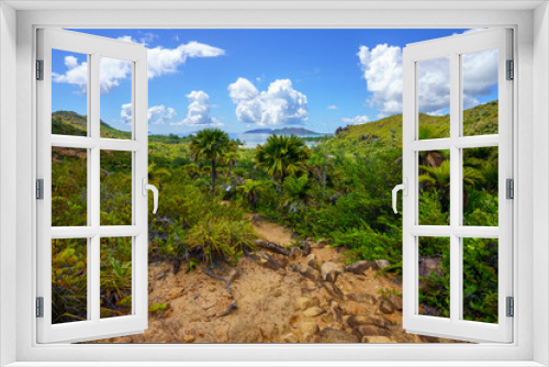 Fototapeta Naklejka Na Ścianę Okno 3D - hikink through the jungle on curieuse island on the seychelles