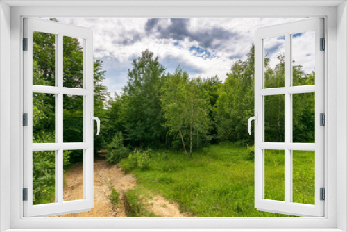 Fototapeta Naklejka Na Ścianę Okno 3D - countryside dirt road in to the forest. green nature landscape in summer. grass on the meadow by the road. beautiful scene of natural park in summer. sky with clouds on a sunny day