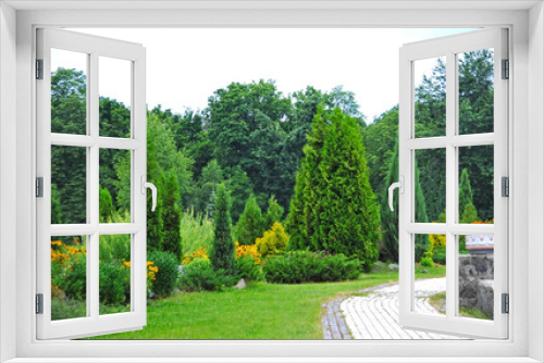 Fototapeta Naklejka Na Ścianę Okno 3D - Evergreen fir tree