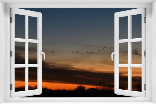 Fototapeta Naklejka Na Ścianę Okno 3D - Geese Flying in a Sunset