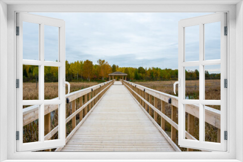 Fototapeta Naklejka Na Ścianę Okno 3D - A wide worn wooden boardwalk with high yellow and green grass reeds on both sides of a swamp. The sky is blue with lots of thick clouds. There are tall green evergreen trees off in the distance.