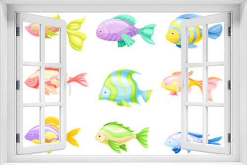 Fototapeta Naklejka Na Ścianę Okno 3D - Marine tropical fishes set. Beautiful colorful exotic fish vector illustration