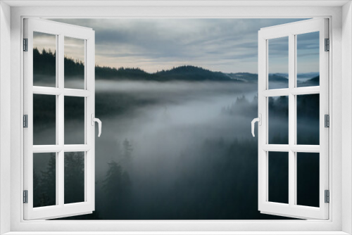 Fototapeta Naklejka Na Ścianę Okno 3D - Foggy moody pacific northwest forest landscape.
