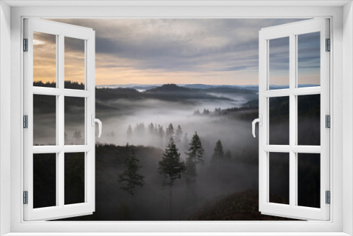 Fototapeta Naklejka Na Ścianę Okno 3D - Oregon forest trees in fog at sunrise.