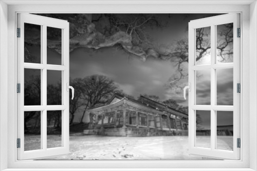 Fototapeta Naklejka Na Ścianę Okno 3D - 대나무