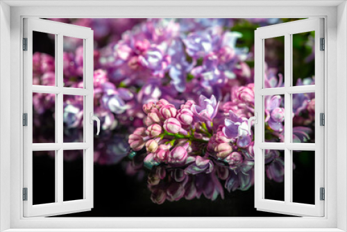 Fototapeta Naklejka Na Ścianę Okno 3D - Spring photography, lilac flowers. Syringa vulgaris (lilac or co