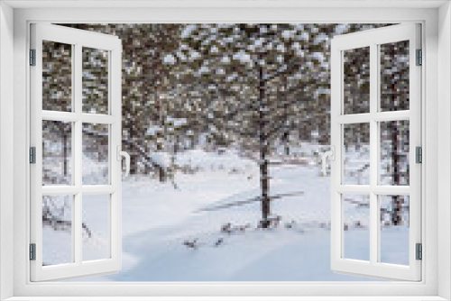 Fototapeta Naklejka Na Ścianę Okno 3D - snow covered bog and trees in winter