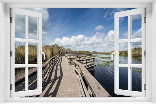 Fototapeta Naklejka Na Ścianę Okno 3D - Everglades swamp