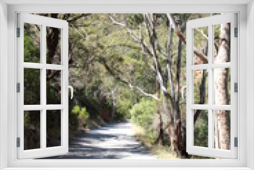 Fototapeta Naklejka Na Ścianę Okno 3D - Bushwalk trail in Morialta Conservation Part South Australia
