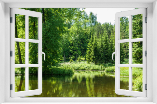 Fototapeta Naklejka Na Ścianę Okno 3D - A body of water in a green forest. Summer landscape on a sunny day.