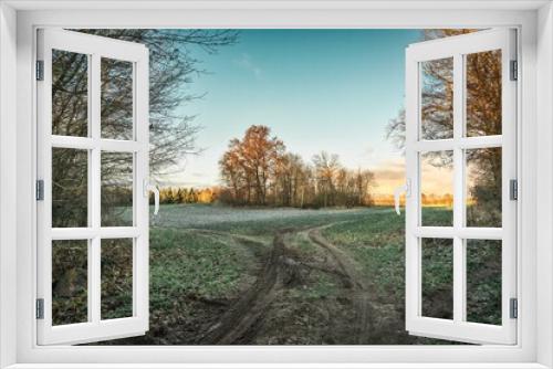 Fototapeta Naklejka Na Ścianę Okno 3D - drzewa