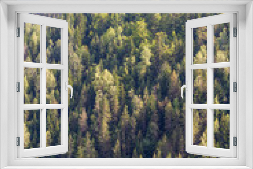 Fototapeta Naklejka Na Ścianę Okno 3D - Top view of the green treetops of coniferous forests in mountain