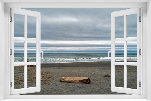 Fototapeta Naklejka Na Ścianę Okno 3D - Pieces of driftwood washed up on the beach on an overcast day at Humboldt Lagoons State Park, California, USA