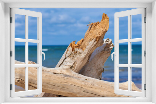 Fototapeta Naklejka Na Ścianę Okno 3D - driftwood on the beach