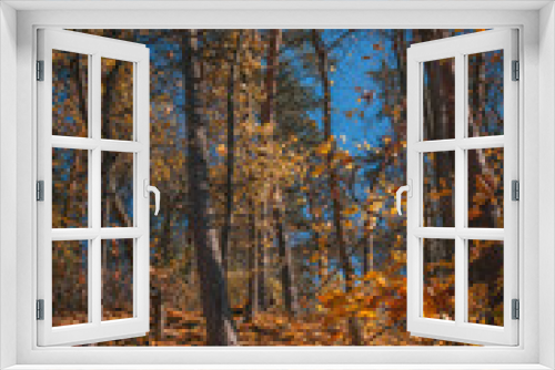 Fototapeta Naklejka Na Ścianę Okno 3D - Yellow forest scape