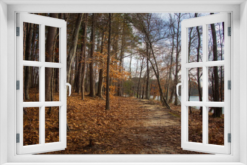 Fototapeta Naklejka Na Ścianę Okno 3D - A golden Autumn path through trees with fallen leaves in the forest