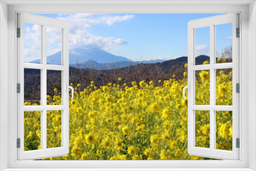 Fototapeta Naklejka Na Ścianę Okno 3D - 菜の花の風景