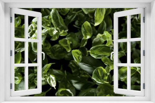 Fototapeta Naklejka Na Ścianę Okno 3D - Freeze Motion Shot of Flying Fresh Basil leaves. Top shot.