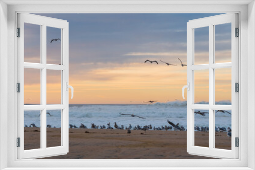 Fototapeta Naklejka Na Ścianę Okno 3D - Sunset over the sea and flock of birds on the beach, seagulls and pelicans, California Central Coast