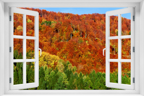 Fototapeta Naklejka Na Ścianę Okno 3D - autumn landscape