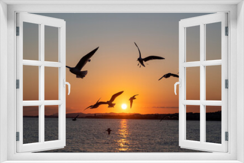 Fototapeta Naklejka Na Ścianę Okno 3D - Flight of seagulls at sunset over Nice beach in winter on the French Riviera
