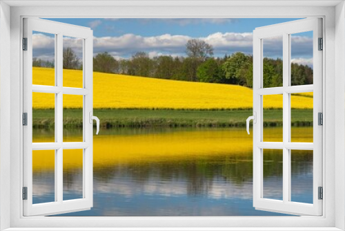 Fototapeta Naklejka Na Ścianę Okno 3D - Rapeseed canola colza field landscape lake pond grass