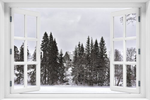 Fototapeta Naklejka Na Ścianę Okno 3D - Park Mon Repos or Monrepos in a snowy forest in Vyborg in winter