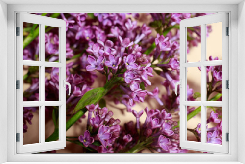 Fototapeta Naklejka Na Ścianę Okno 3D - Beautiful branch lilac on a beige background for a postcard or a spring sale.