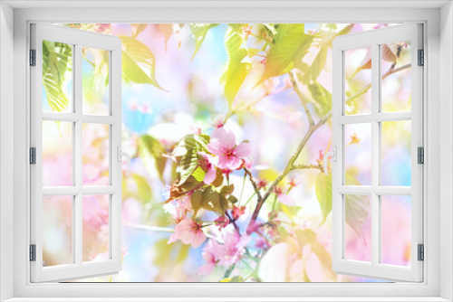 Fototapeta Naklejka Na Ścianę Okno 3D - Spring blossom, springtime pink flowers bloom, pastel and soft floral card, selective focus, shallow DOF, toned
