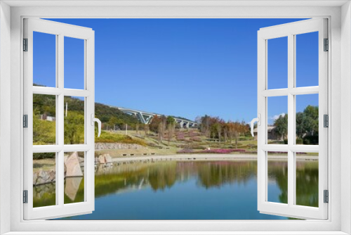 Fototapeta Naklejka Na Ścianę Okno 3D - 青空バックに見る秋の公園の情景＠淡路島、兵庫