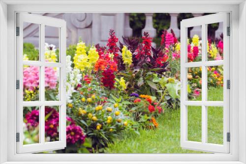 Fototapeta Naklejka Na Ścianę Okno 3D - Beautiful antirrhinum majus or snapdragon flowers in pink, red, white and yellow colors . Spring blooming garden background