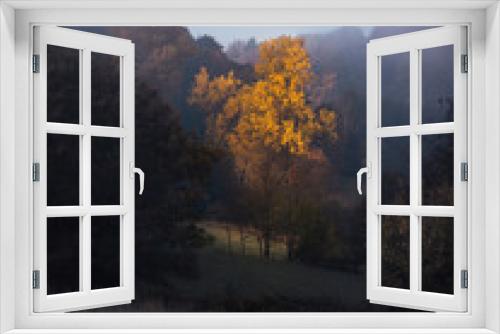 Fototapeta Naklejka Na Ścianę Okno 3D - fog in the mountains morning photo with fog and a tree with no leaves standing alone in a field with the sun moving behind it . A moody photo with lots of character