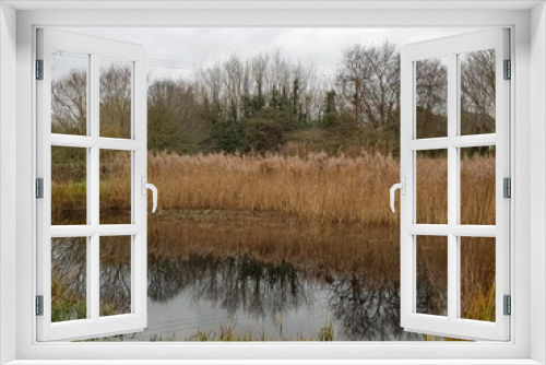 Fototapeta Naklejka Na Ścianę Okno 3D - Pond in winter, East town park, Haverhill
