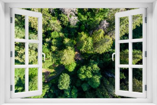 Fototapeta Naklejka Na Ścianę Okno 3D - Tops of coniferous trees in a wild forest, aerial view in flight