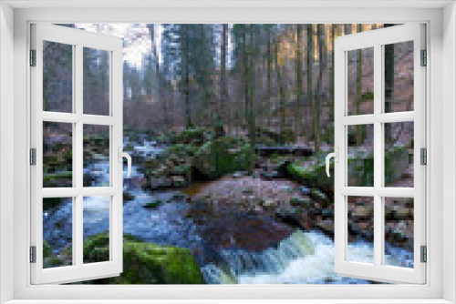 Fototapeta Naklejka Na Ścianę Okno 3D - river in the forest (Harz, Germany)