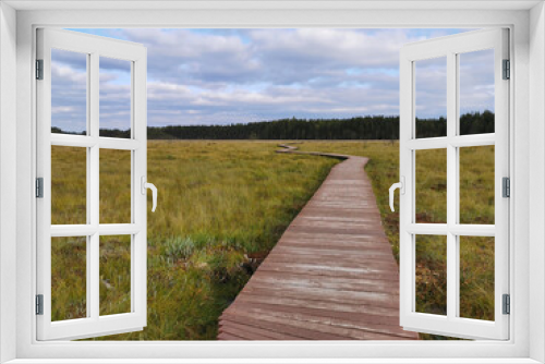 Fototapeta Naklejka Na Ścianę Okno 3D - A deck of brown wooden planks over a swamp with yellowed grass, going to the forest, against a beautiful sky with clouds..